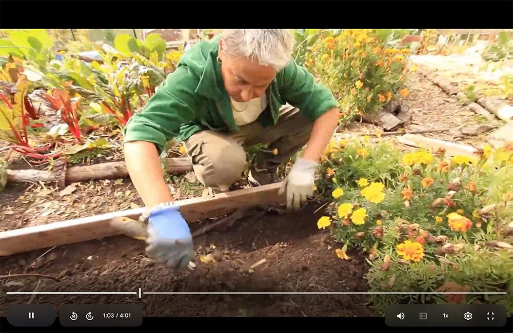 Spring Is in the Air: Growing Across Generations