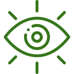Green eye icon with radiating lines