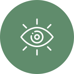 Icon of an eye with radiating lines on a green circular background