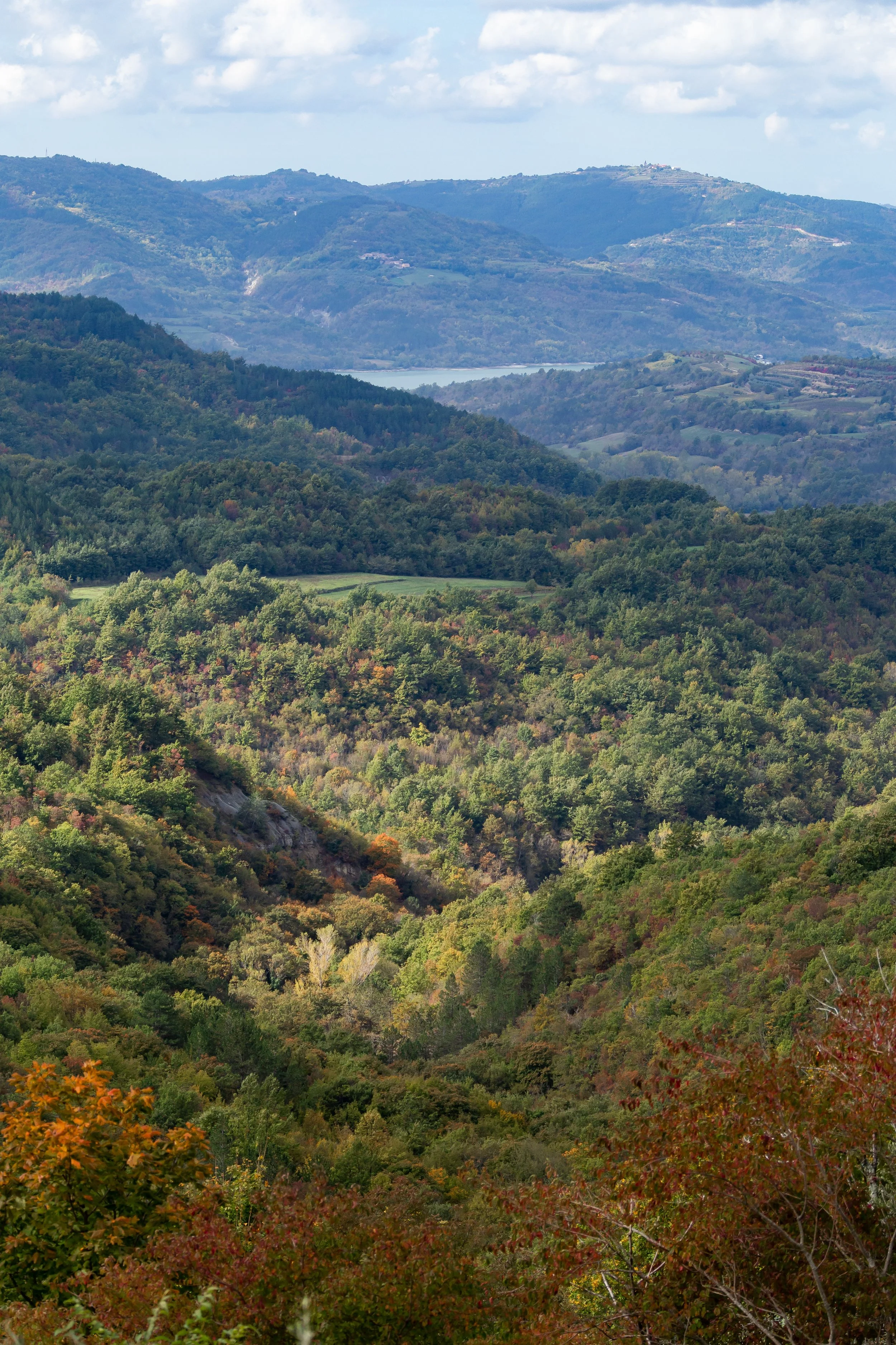 Scenic view of rolling green mountains with dense forest, a lake in the distance, and partly cloudy sky.