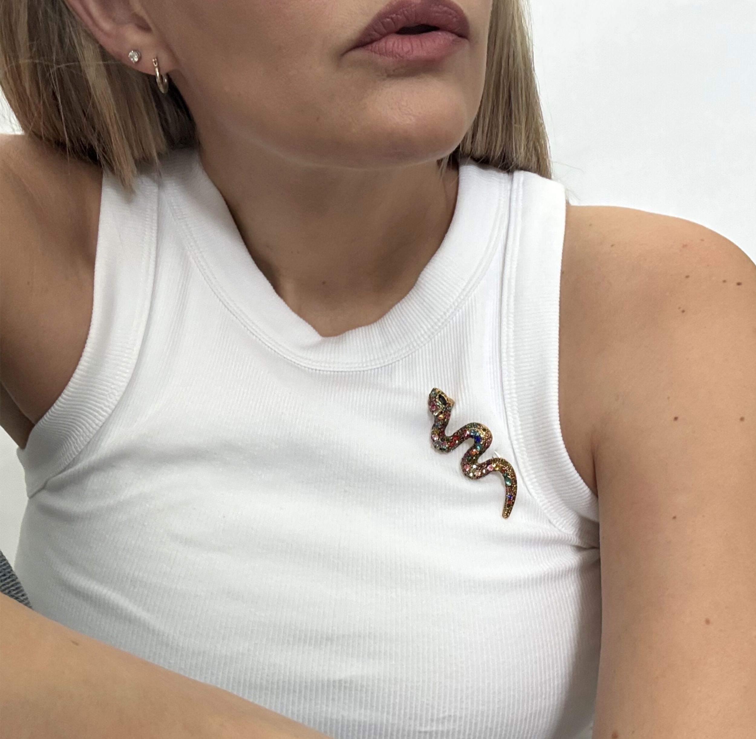 The Serpentine Prism Brooch 2 The Brooch house.png