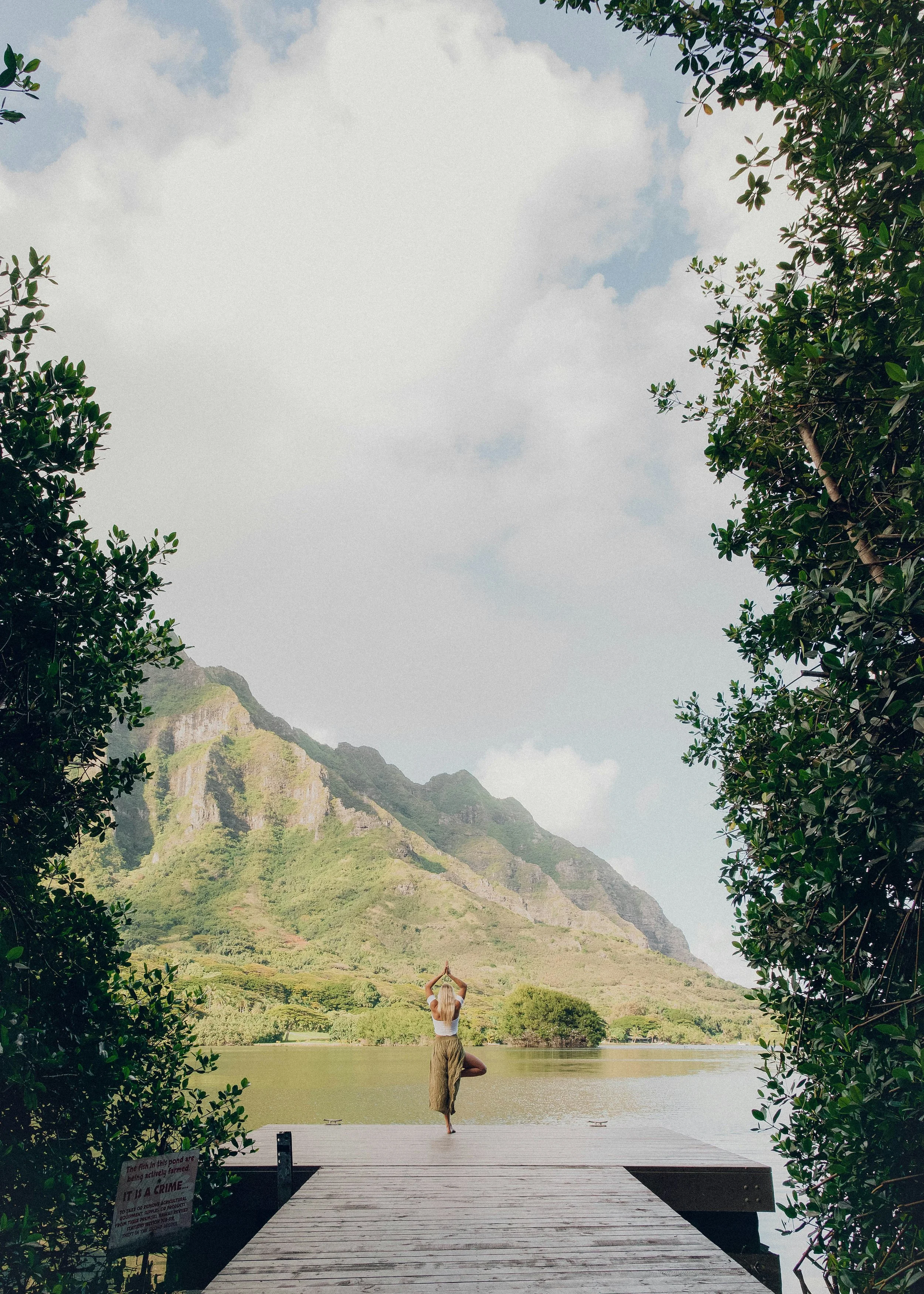 A person practicing yoga on a wooden dock by a lake, surrounded by lush green trees and mountains under a partly cloudy sky.
