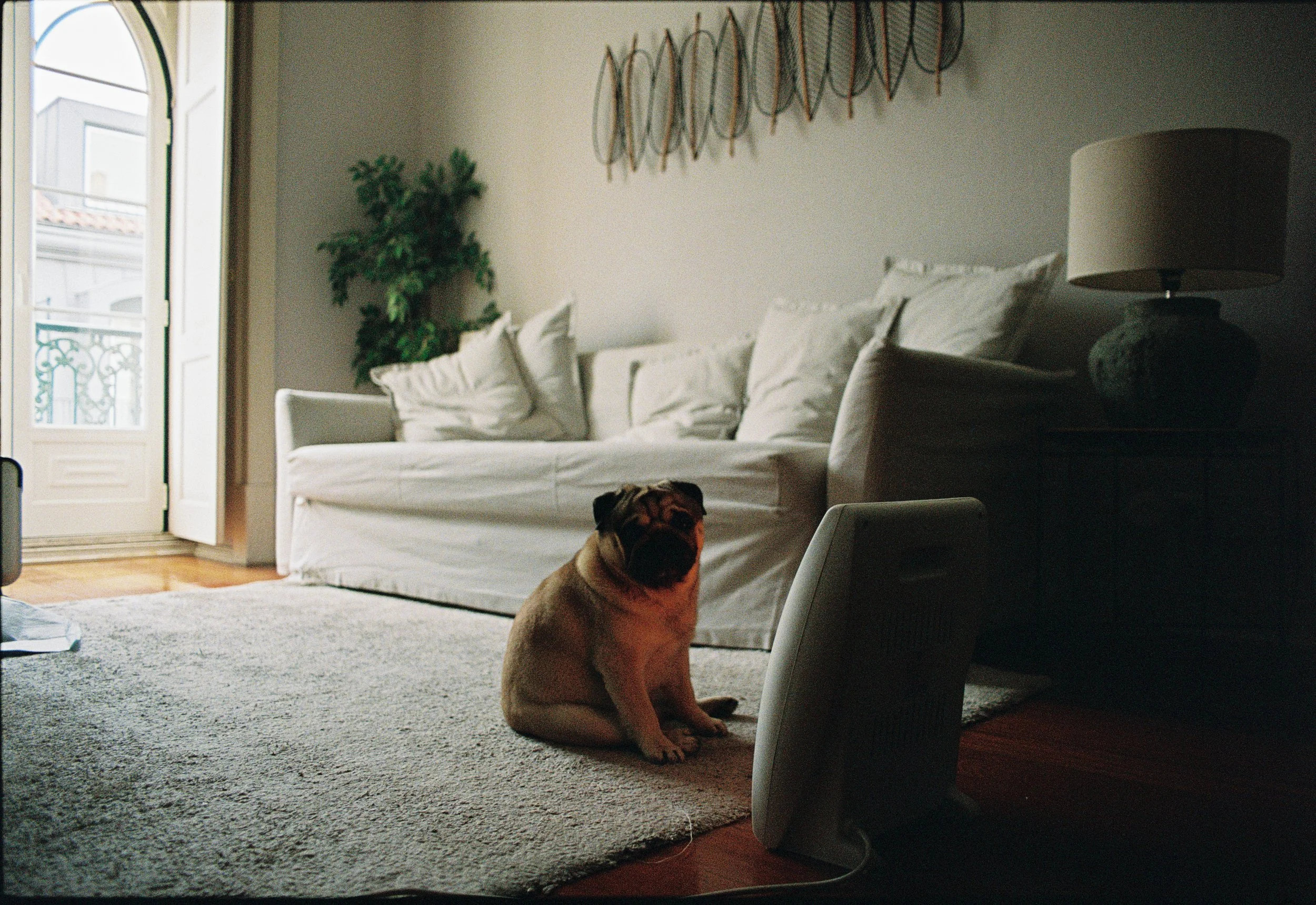 Danilo Brando-10-2.jpg