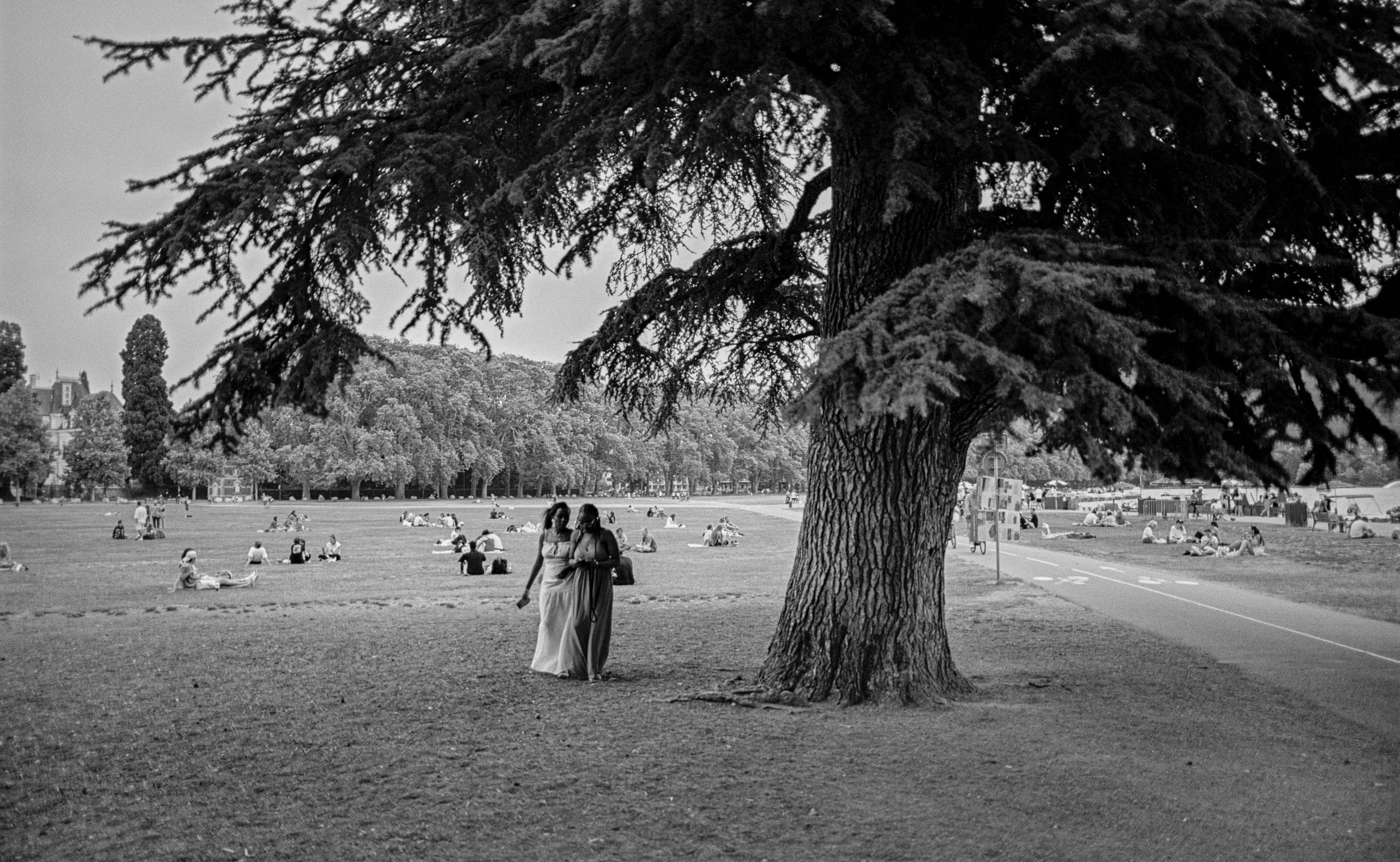 Fotografía de Dan Brando — documental en blanco y negro