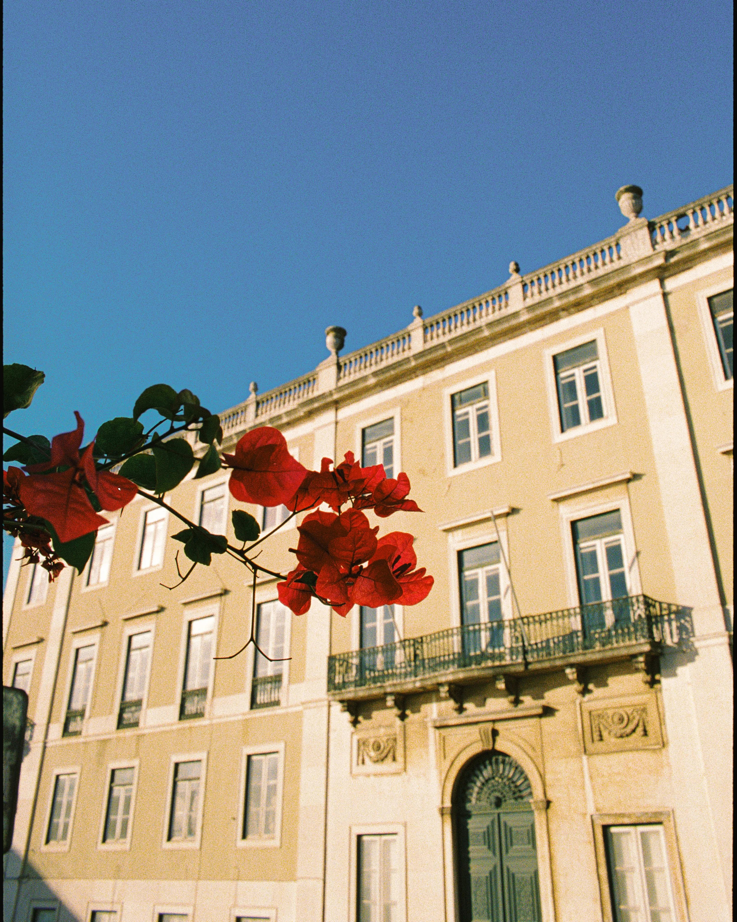 Danilo Brando-23-2.jpg