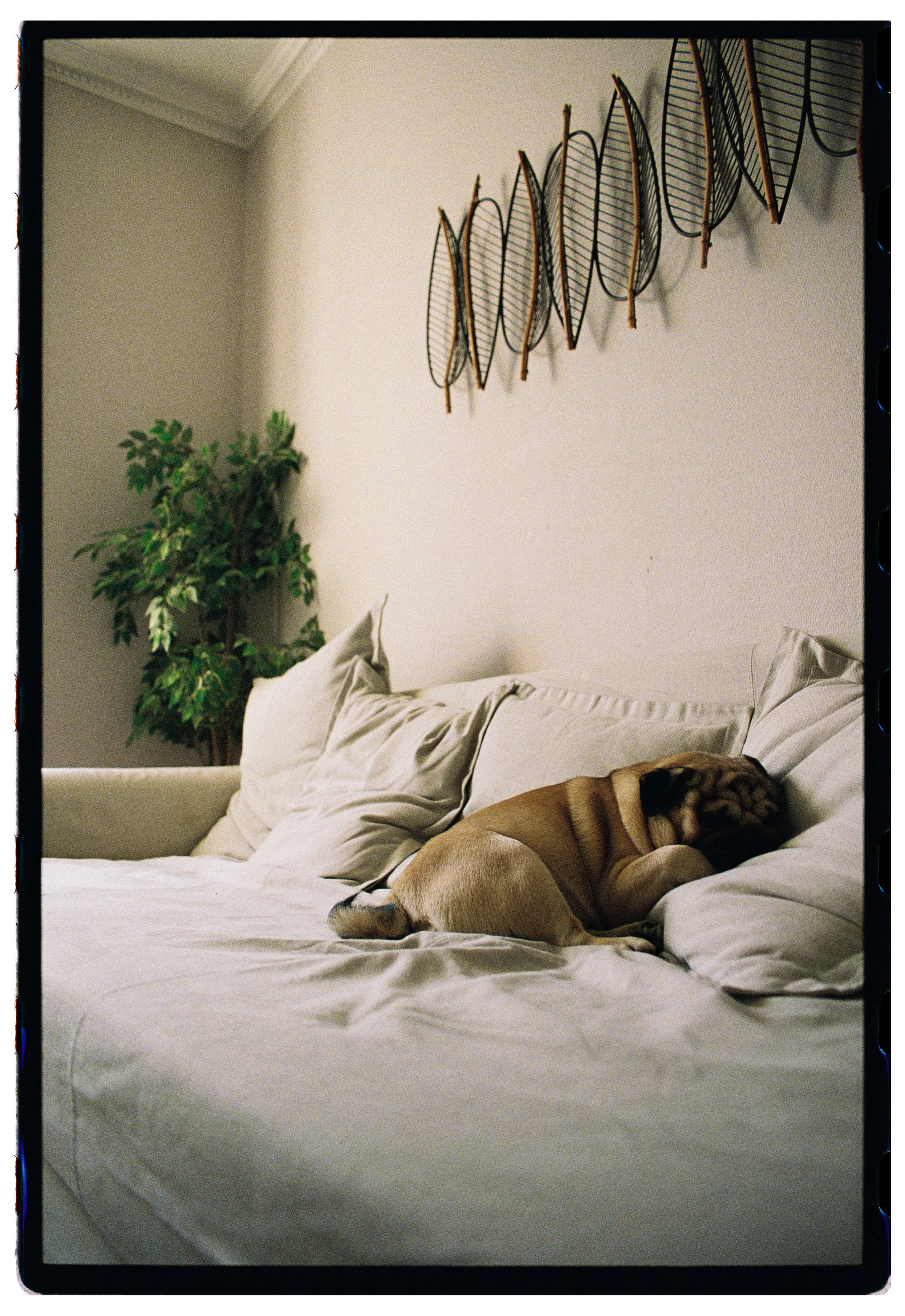 Danilo Brando-22.jpg