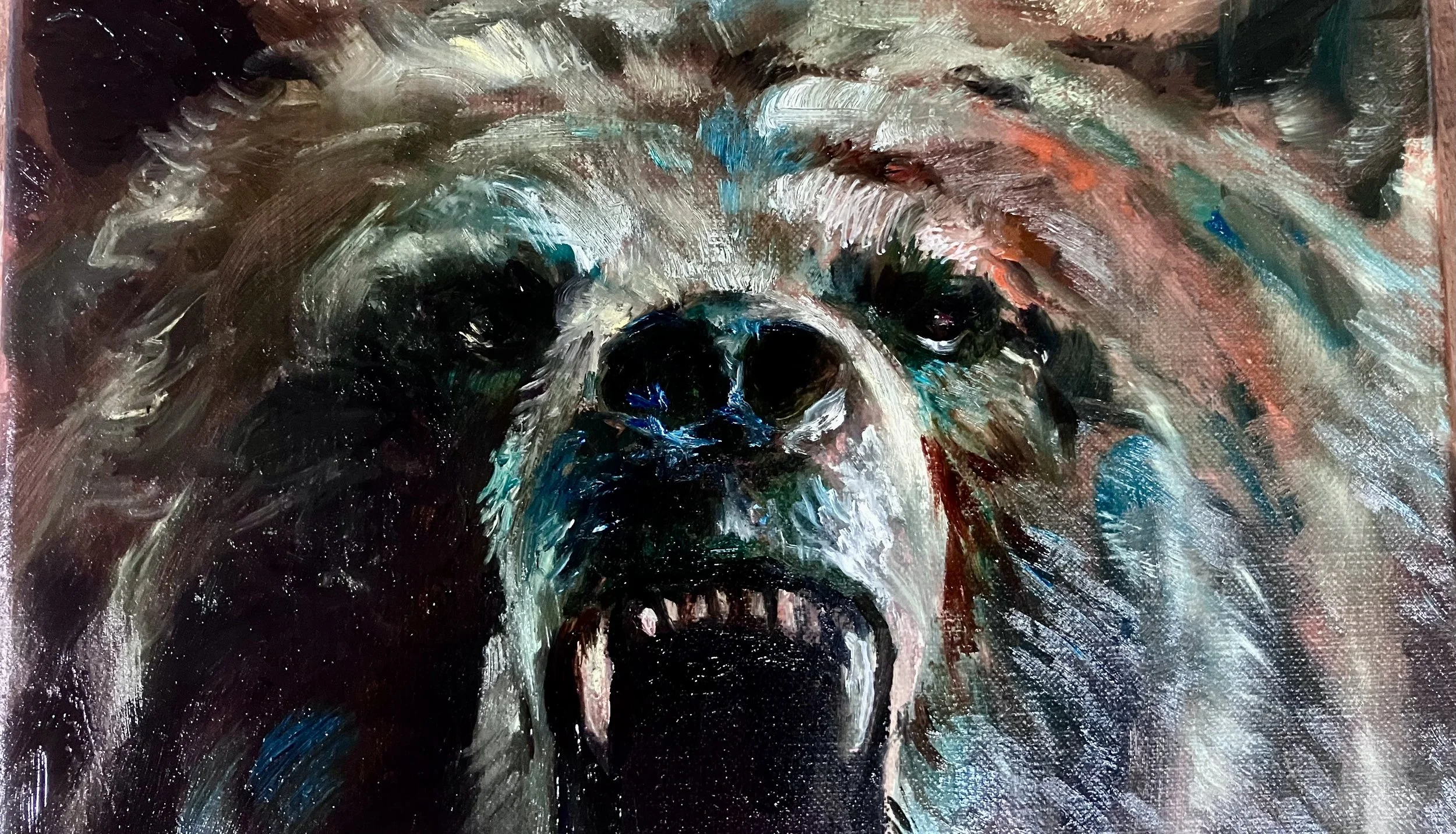 Grizzli, parfois le matin…