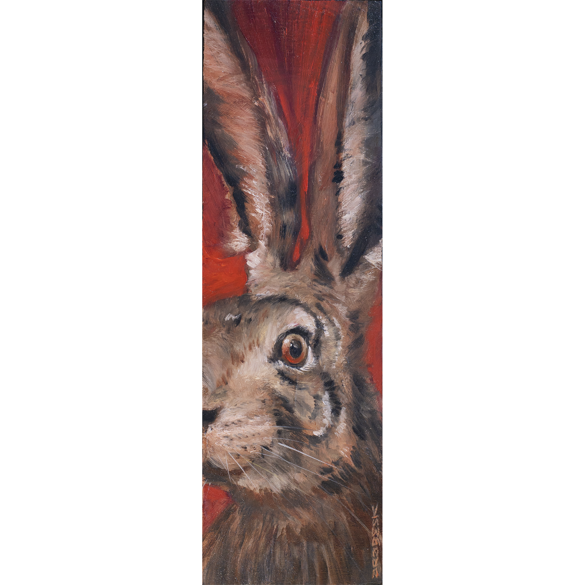 surprise_le_lièvre_2026_Olivier_Lamboley_ArabesK.png