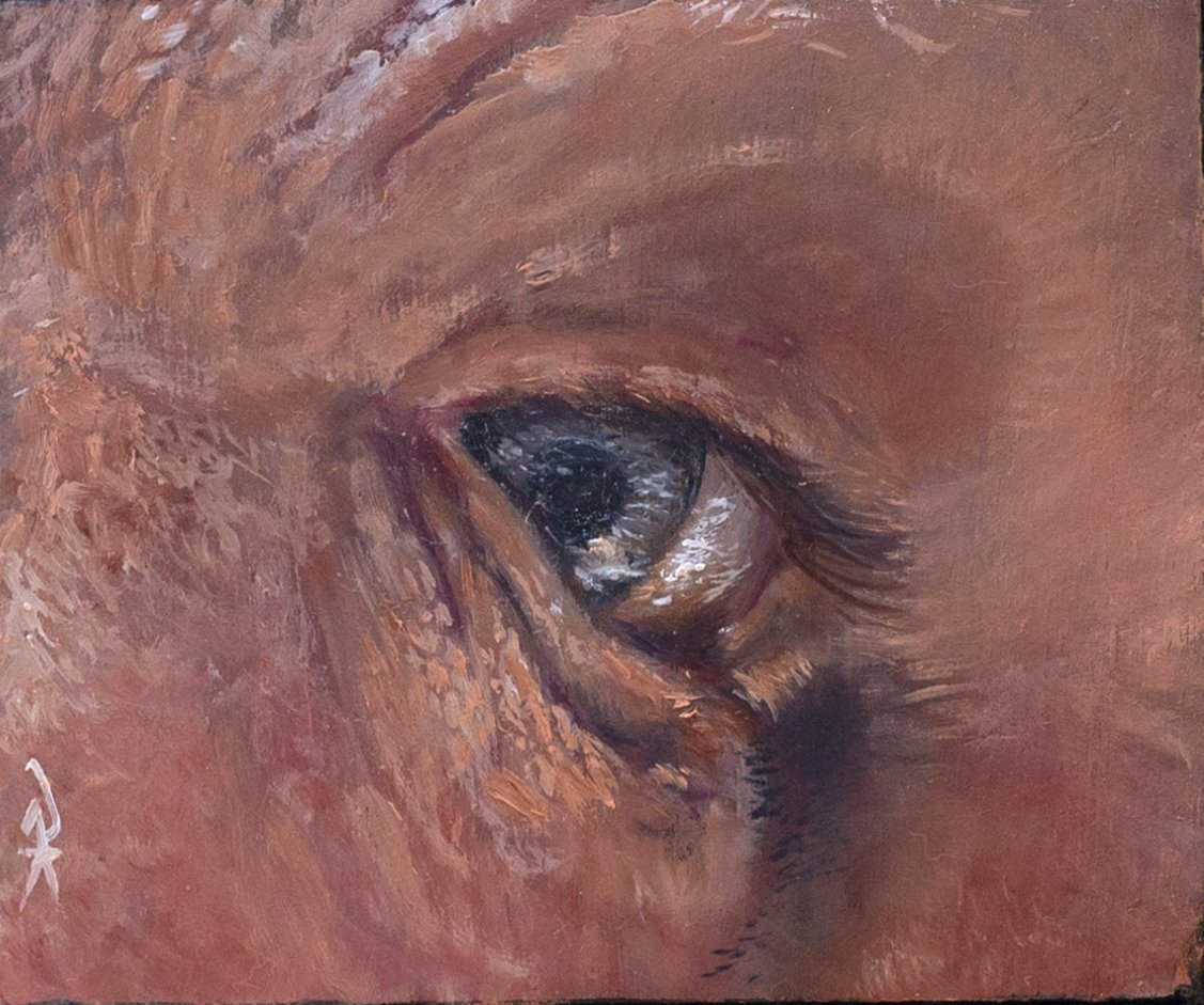 interrogation_l_oeil_du_peintre_2026_Olivier_Lamboley_ArabesK.jpg