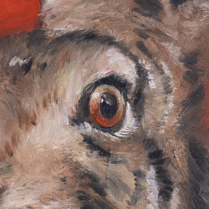 surprise_le_lièvre_detail_1_2026_Olivier_Lamboley_ArabesK.jpg
