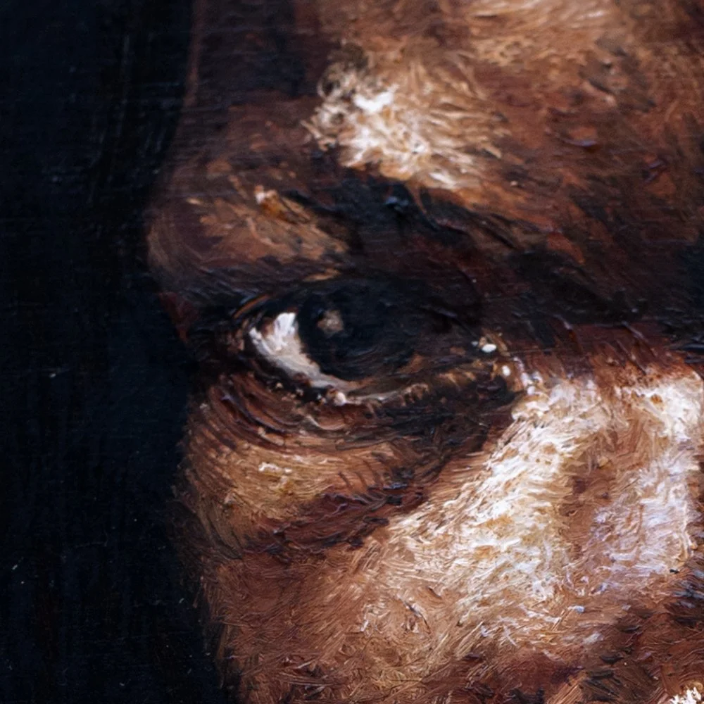 cimarron_2_detail_2_2026_Olivier_Lamboley_ArabesK.jpg
