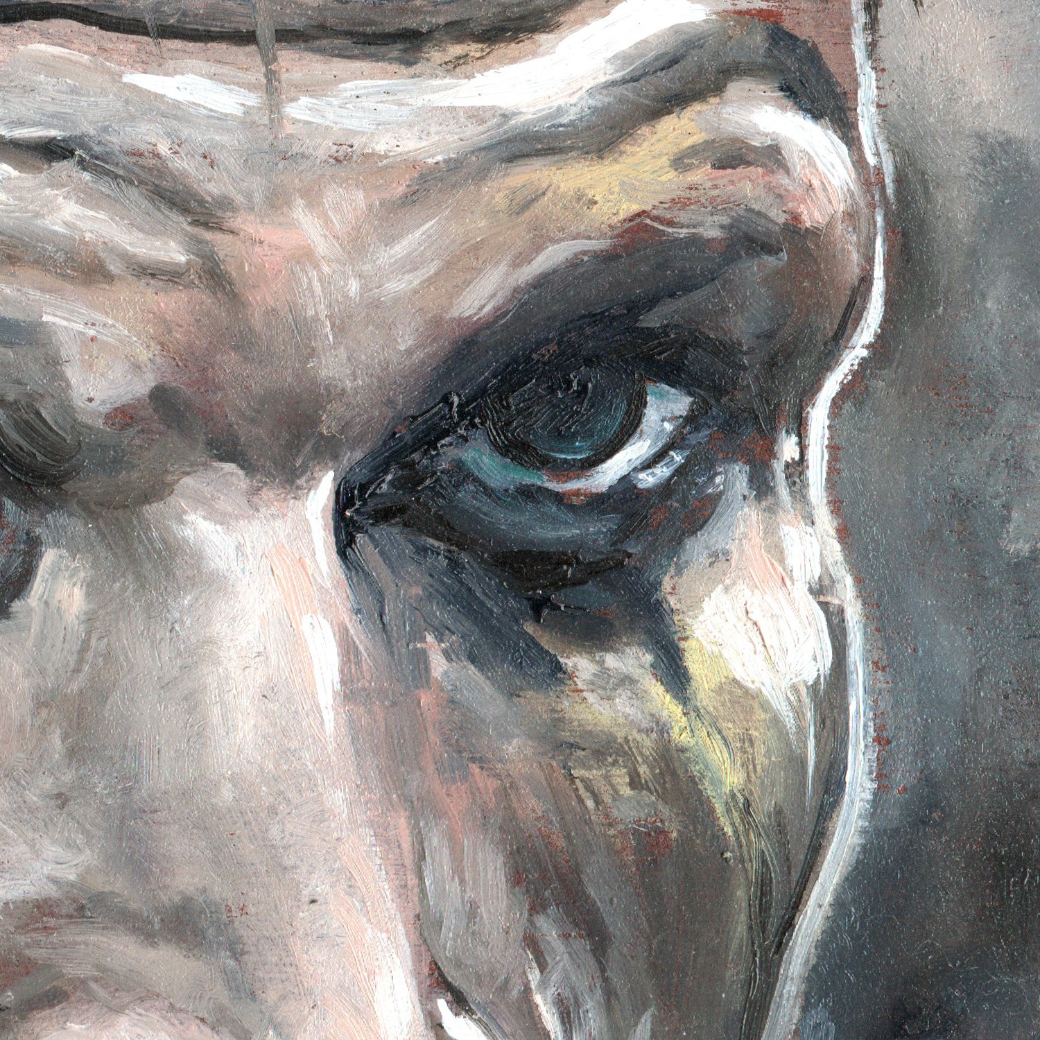 floki_detail_2_CpasComic_Olivier_Lamboley_ArabesK_2026.jpg
