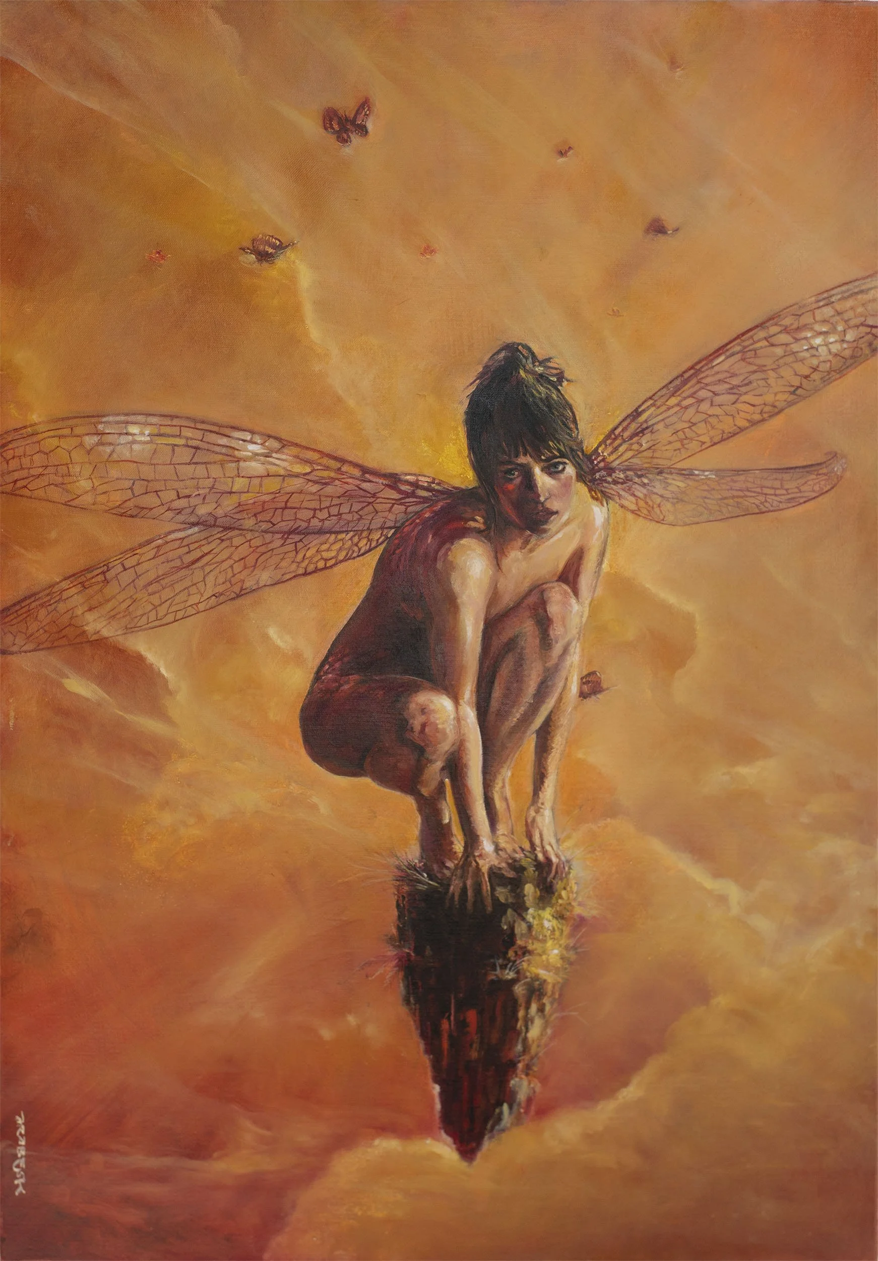 miss_dragonfly_2026_Olivier_Lamboley_ArabesK.jpg