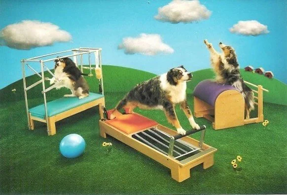 I&rsquo;m currently teaching 4 person &lsquo;semi-privates&rsquo; which are really mat/tower classes. Reformer class mania has taken over the Pilates &lsquo;verse so many might not be familiar with the Tower units which are basically 2/3 ish Cadillac