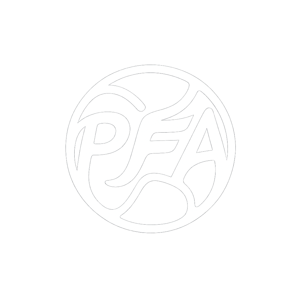 Precision Futebol Academy