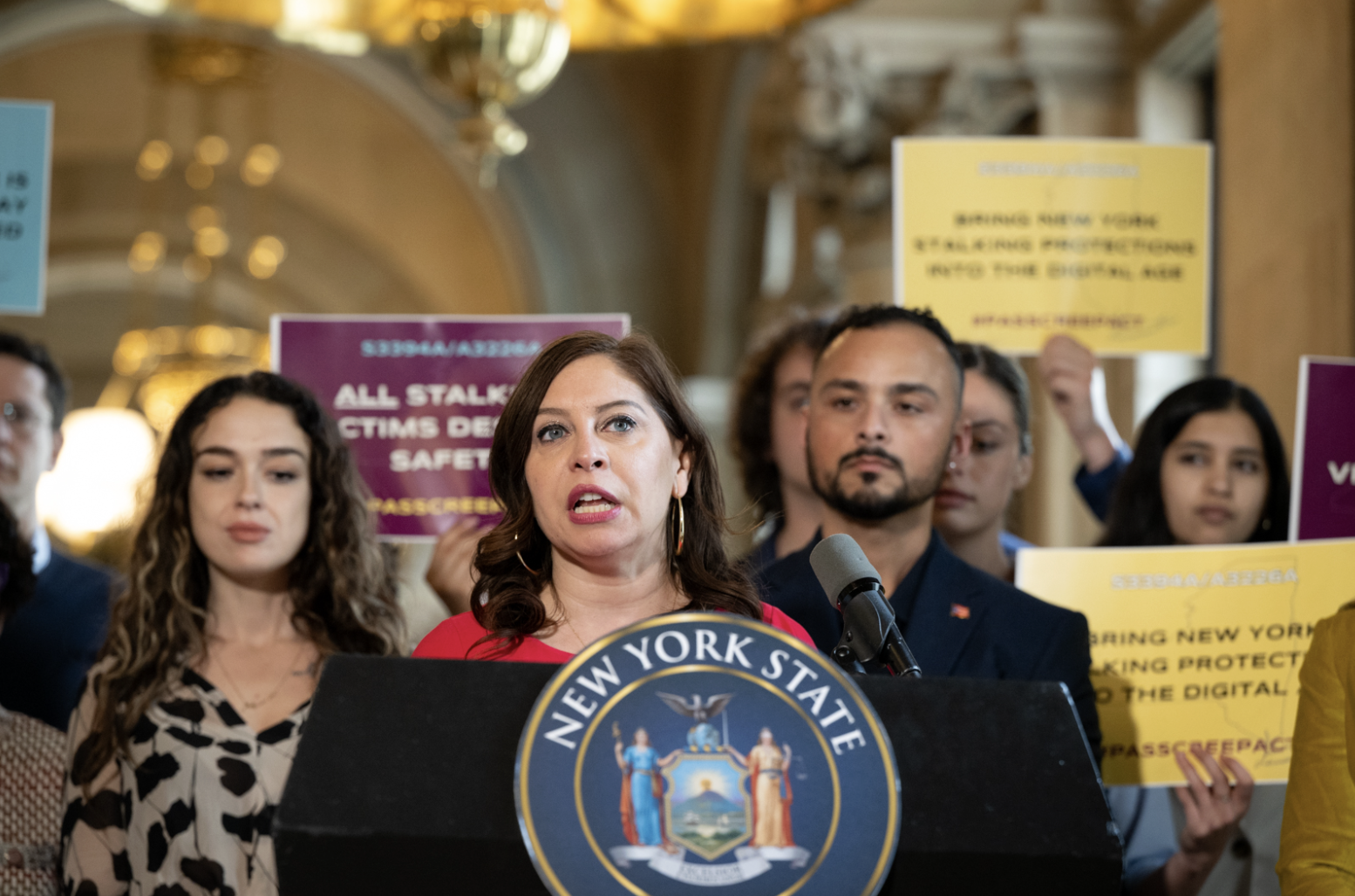 Lawmakers, advocates push bill to protect victims of digital stalking