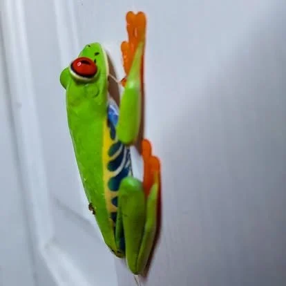 Valparaiso Exotic Animal Expo