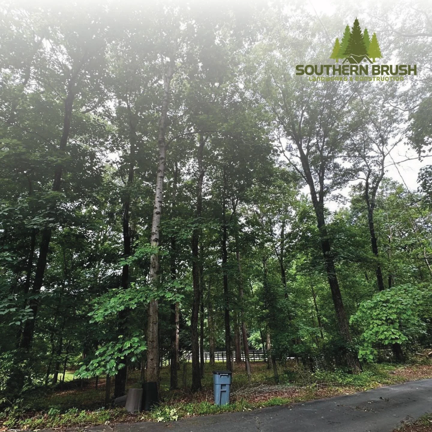 Your land, completely reimagined.

Swipe to see this incredible brush-clearing transformation by Southern Brush, your Best of Georgia winner in Landscaping Services. 

From overgrown terrain to usable, beautiful space, our team specializes in forestr