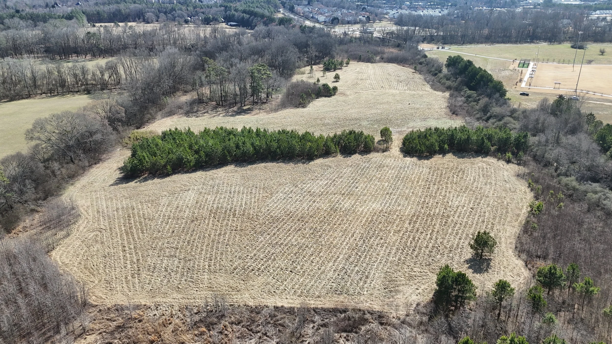 Reclaiming Overgrown Pasture with Forestry Mulching