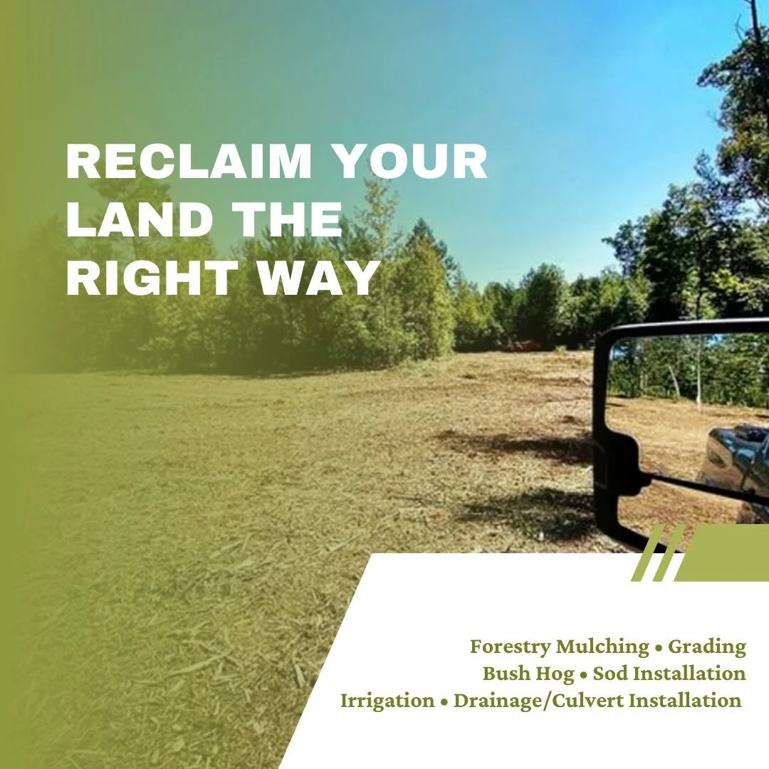 🌿 Reclaim Your Land the Right Way 🌿

Overgrown property? Thick underbrush taking over? Our forestry mulching services offer a smarter, more efficient solution for land clearing without the harsh impact of traditional methods.

Forestry mulching is 