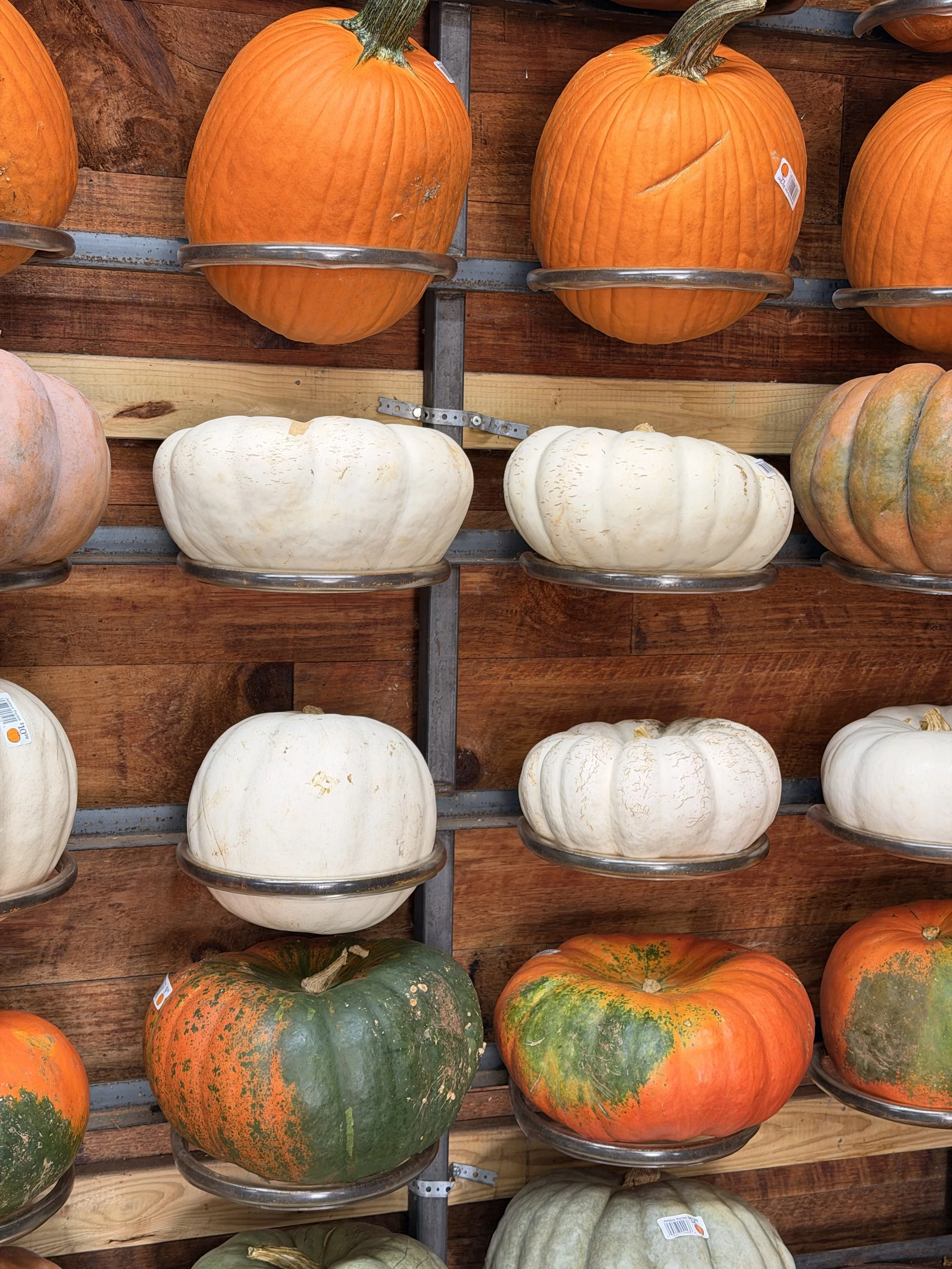 From Pumpkins to Fallen Leaves: How Fall Naturally Feeds Your Land