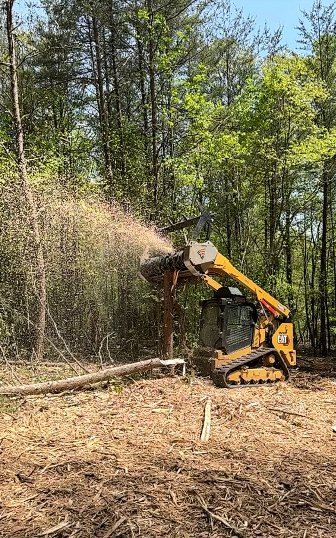 Forestry Mulching: A Smarter, Eco-Friendly Way to Reclaim Your Land in North Georgia