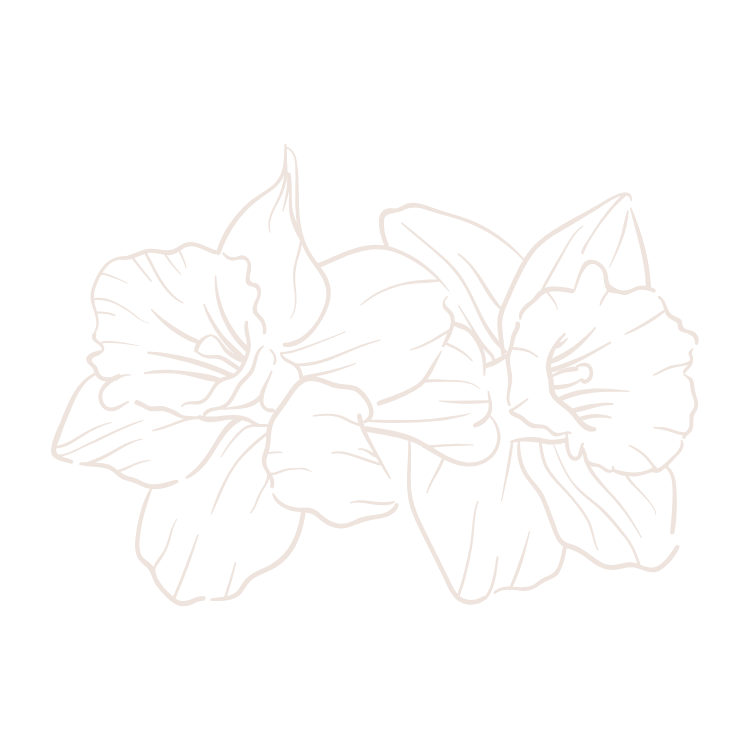 Line drawing of large tropical leaves on a black background.