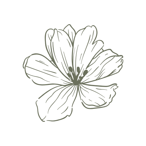 Line drawing of a hibiscus flower with five petals against a black background.