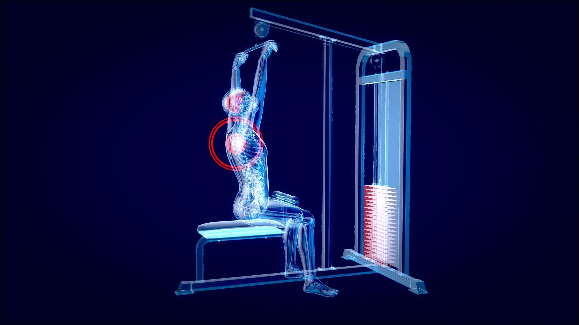 Today's Exercise: Lat Pulldowns
