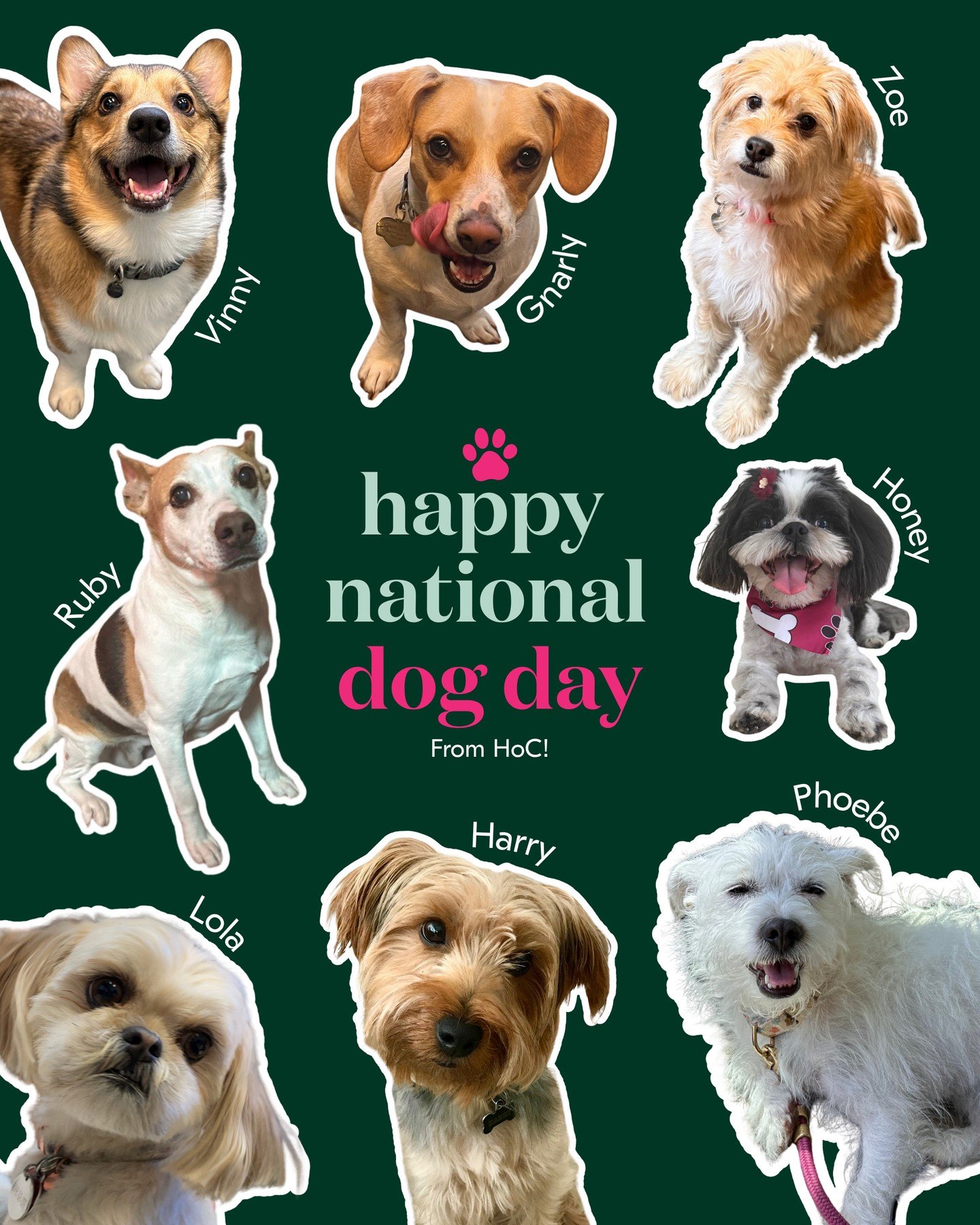 Here at HoC, we take the dog days of summer literally 🐾 But, then again, every day is a dog day when you have such a cute flock of housepets to bring to work with you! 💕 From all our office pups to wherever your pups may be, we wish you a bark-iful