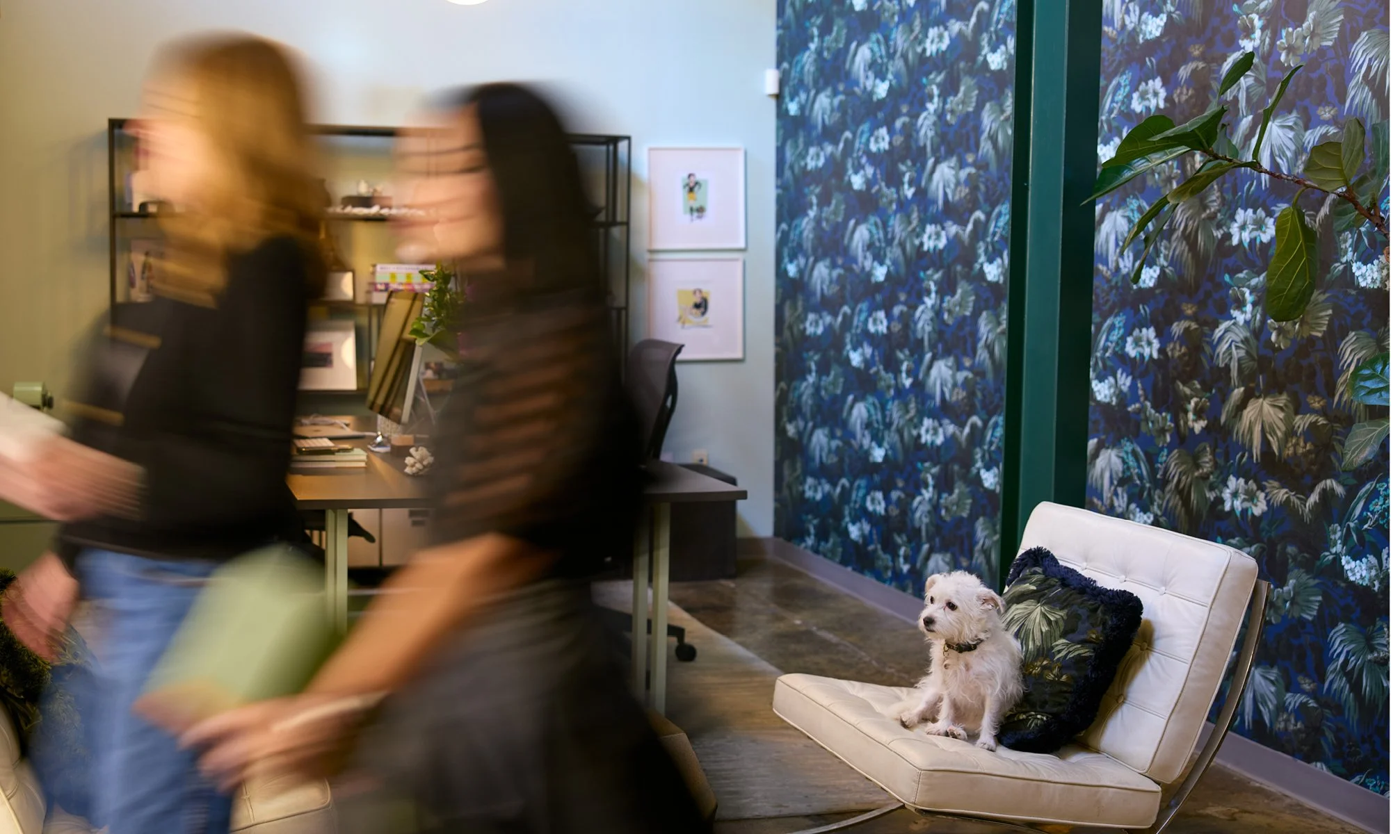 A small white dog sitting on a white lounge chair with a decorative pillow, in a colorful room with floral wallpaper and green leaves, blurred two women walking past.