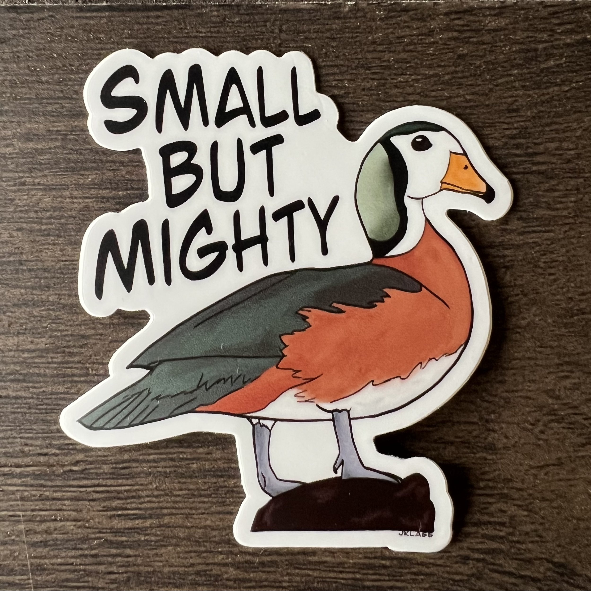 3" Vinyl Sticker - Small But Mighty - African Pygmy Goose
