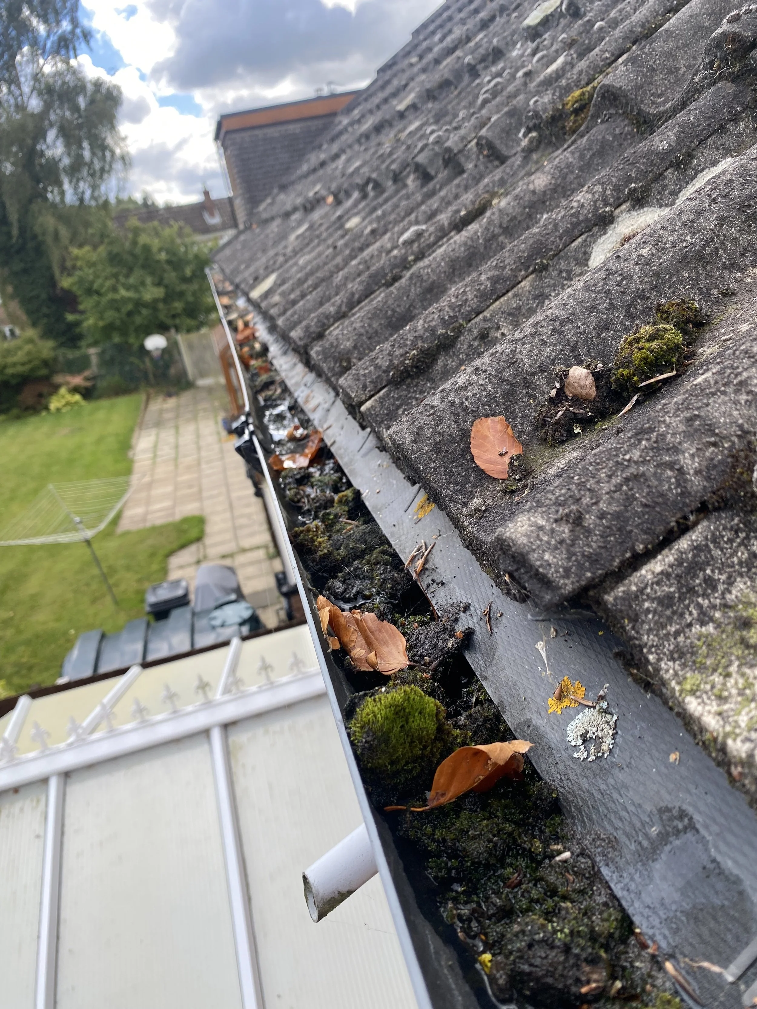 Close-up of moss and fallen leaves in a gutter, causing blockages.