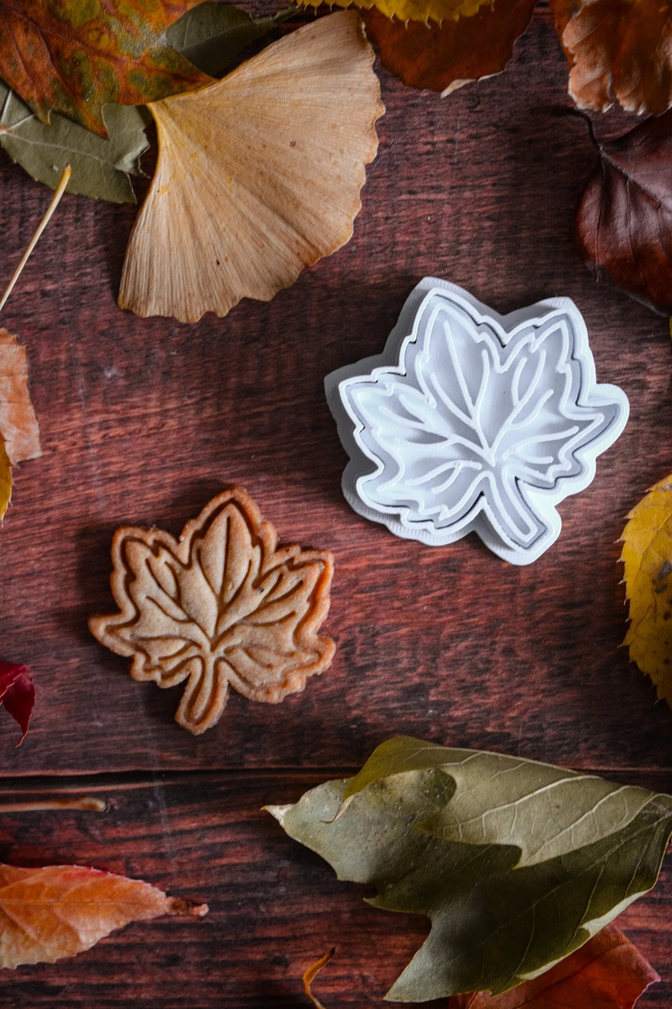 Feuille d'érable