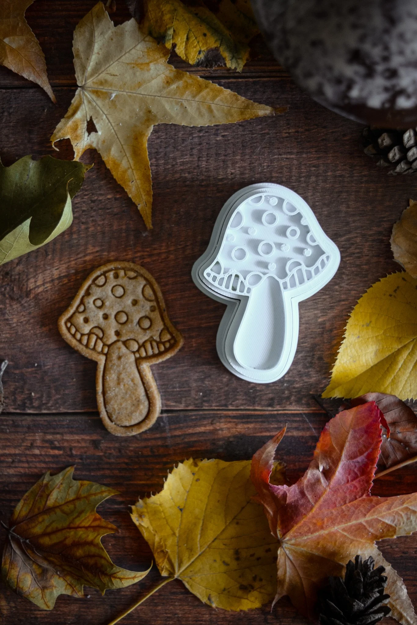Champignon n°7