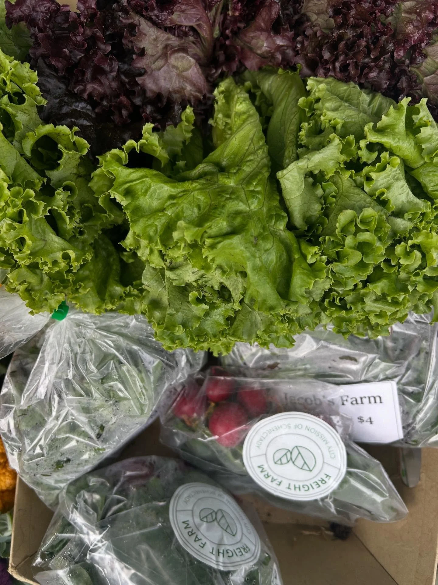 ✨ Giving Tuesday is here! ✨
 Tomorrow and Tuesday, we invite you to support the Schenectady Greenmarket and help us continue strengthening local farms, food access, and our community.
Your gift&mdash;no matter the amount&mdash;directly supports our F