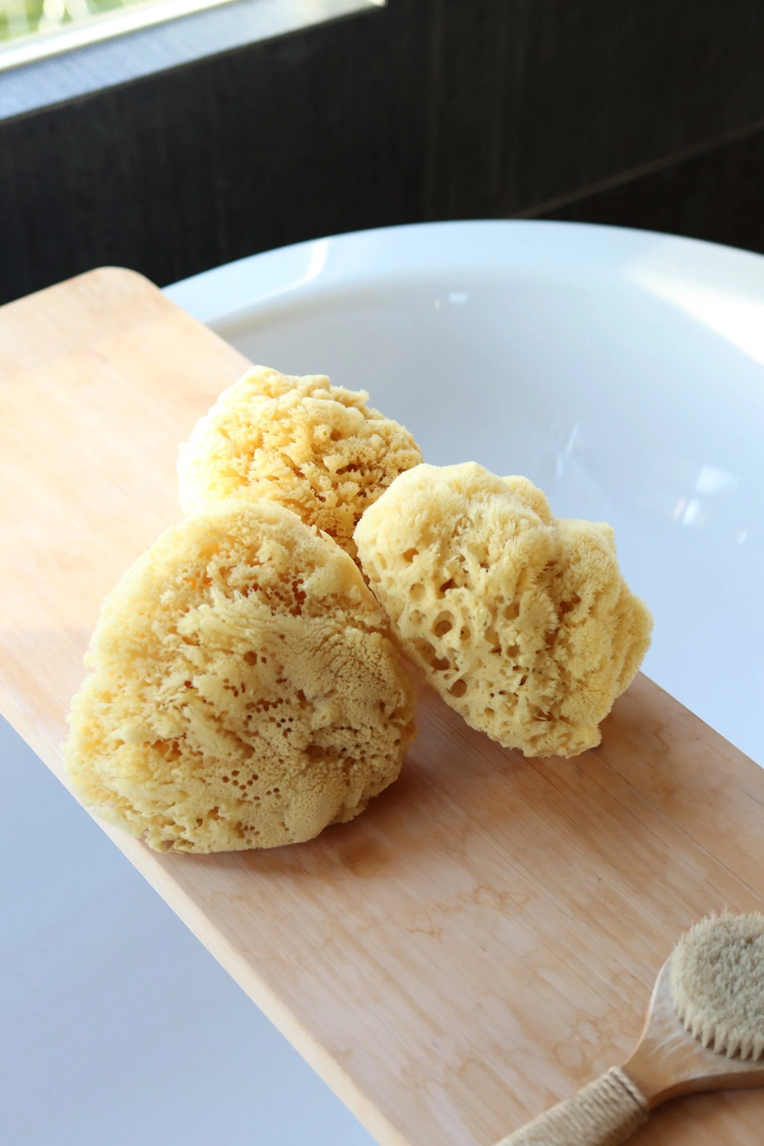 Why Natural Sea Sponges Are Better for Your Skin Than Synthetic Alternatives