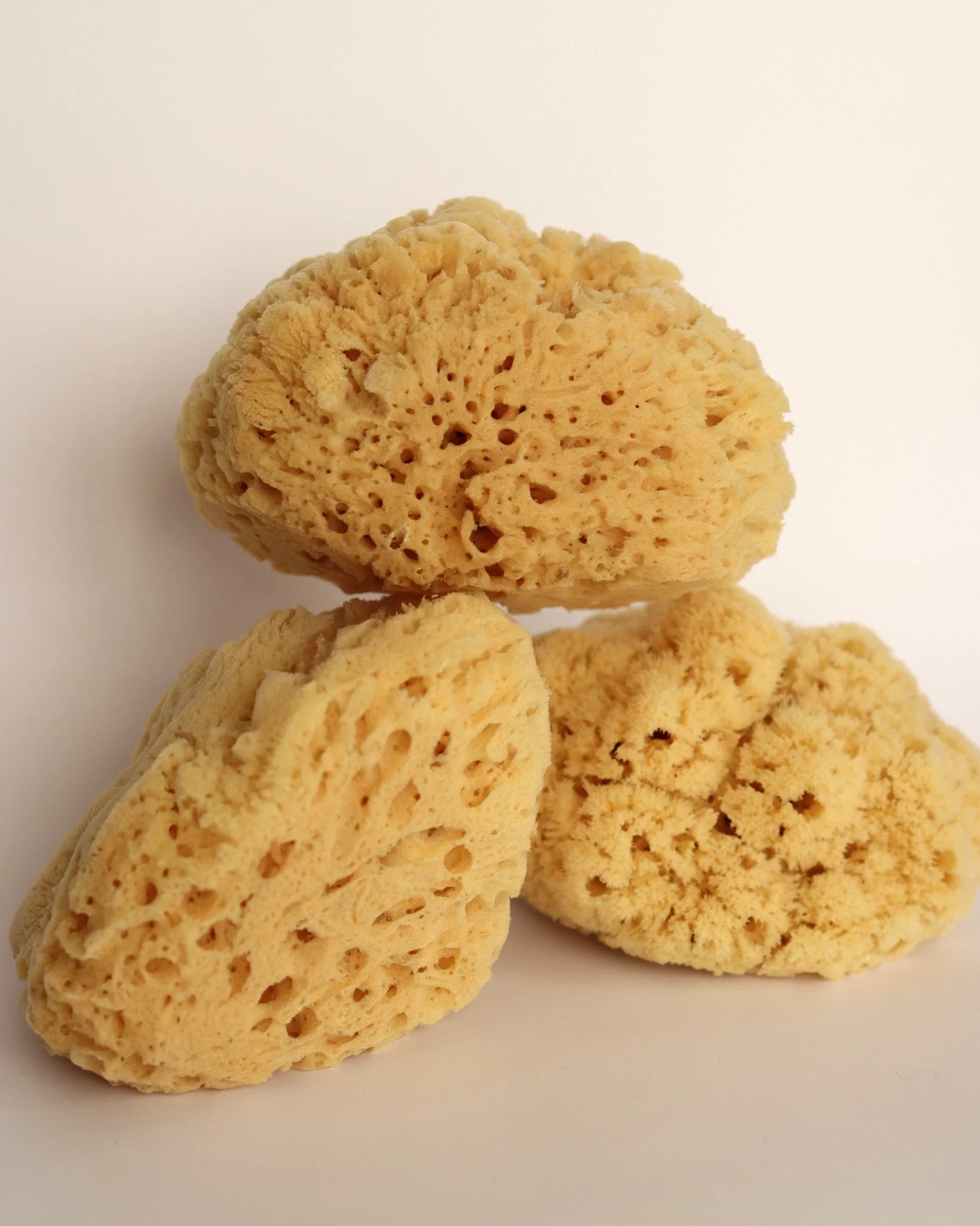 Sea Wool Sea Sponge vs Loofah: Which Is Better for YourSkin?