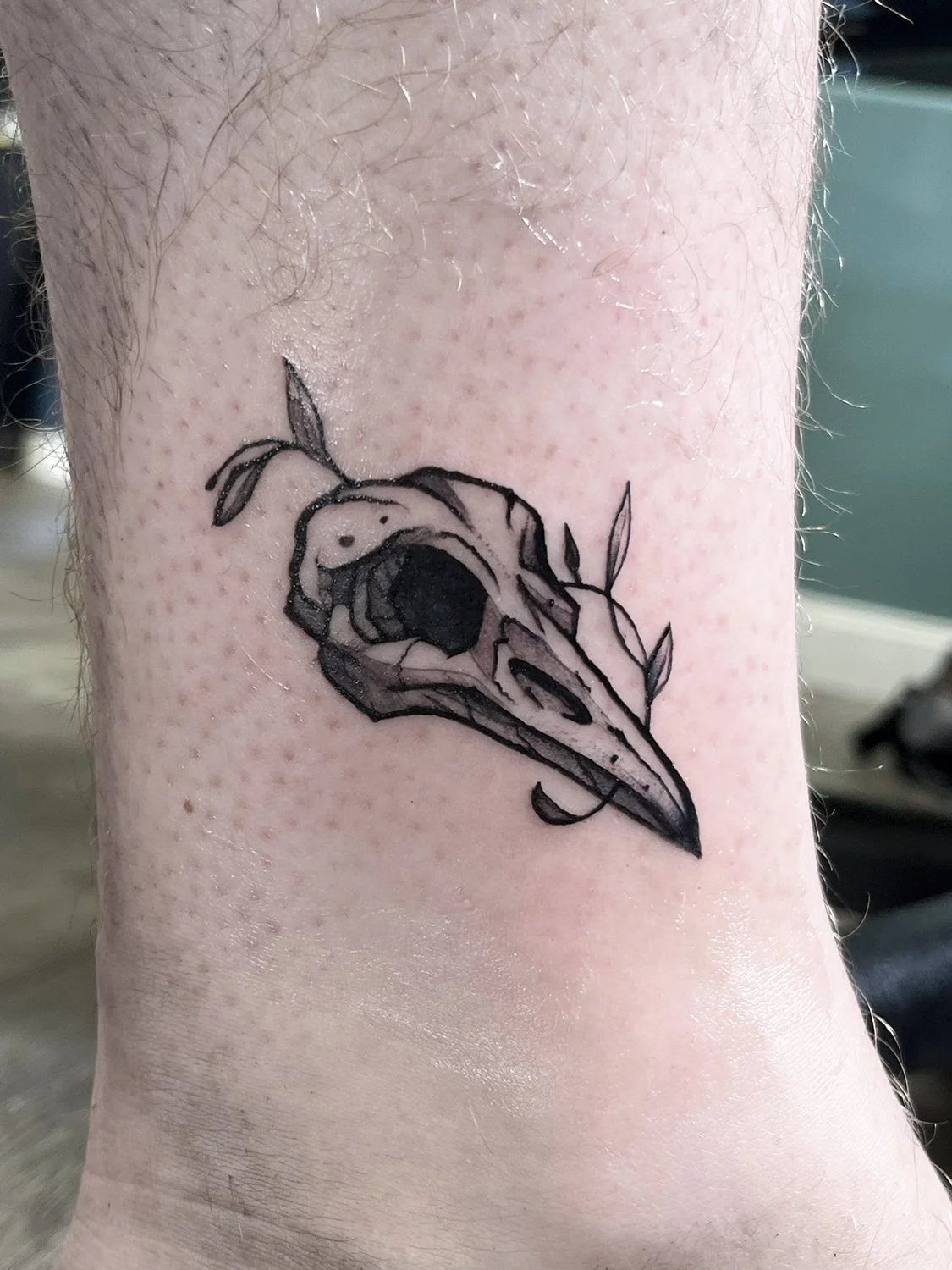 Tattoo of a bird skull with leaves on skin.