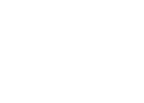millennium falcon