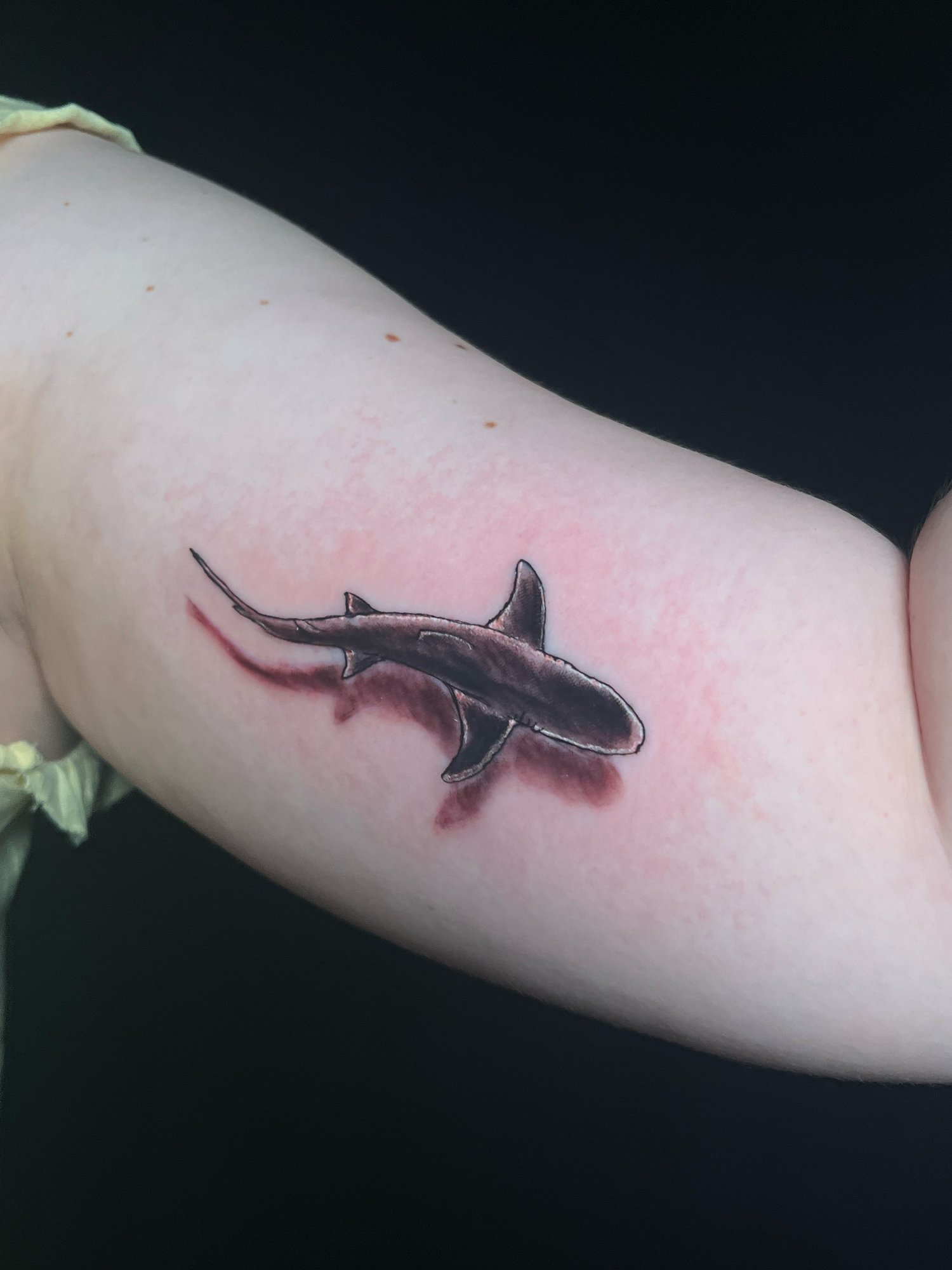 Realistic shark tattoo on person's upper arm.