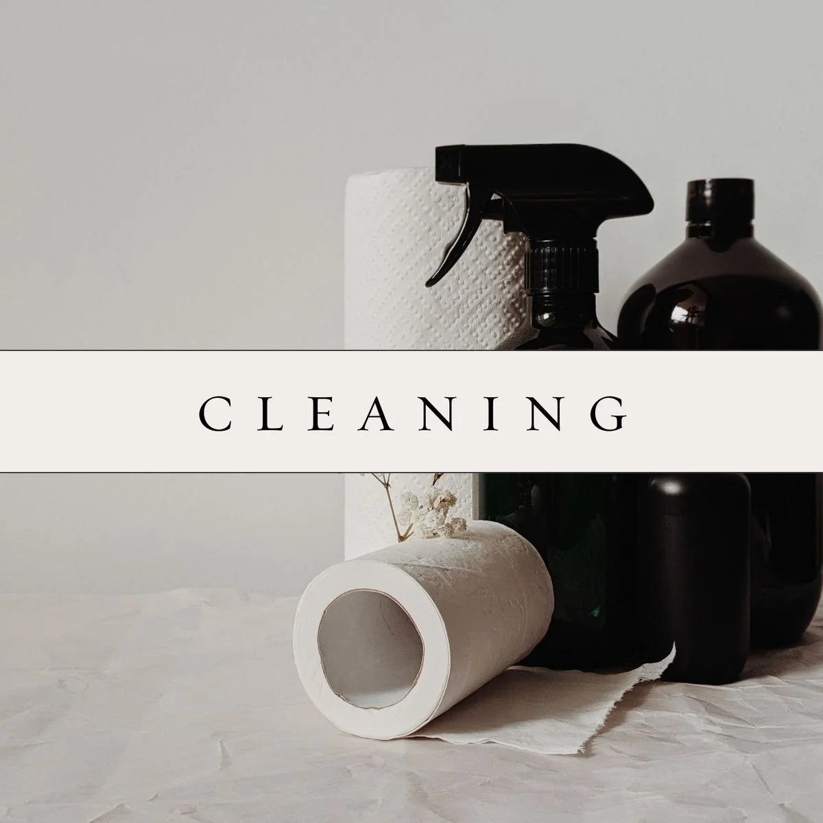 Steam Cleaning Service