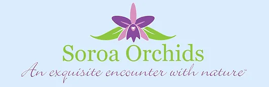 Blooming Wild at Soroa Orchids this weekend for their Valentine’s Day Sale