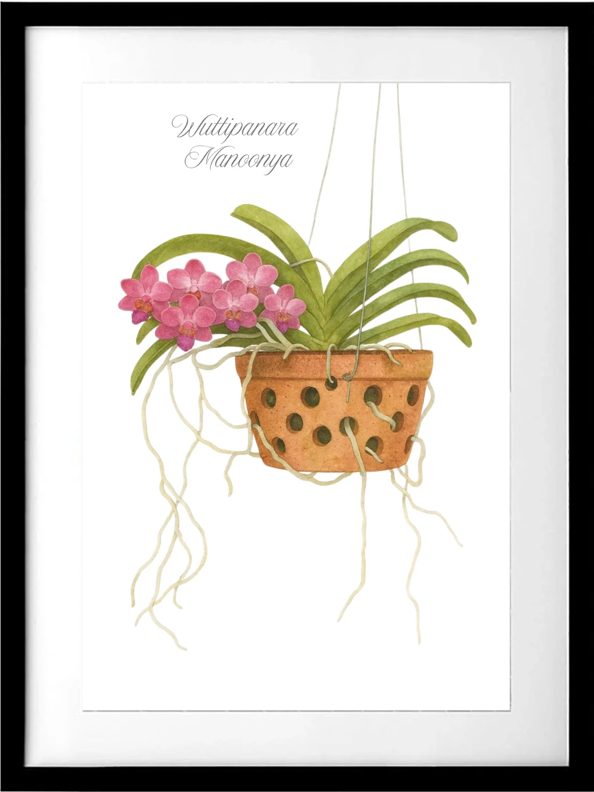 Wuttipanara Manoonya