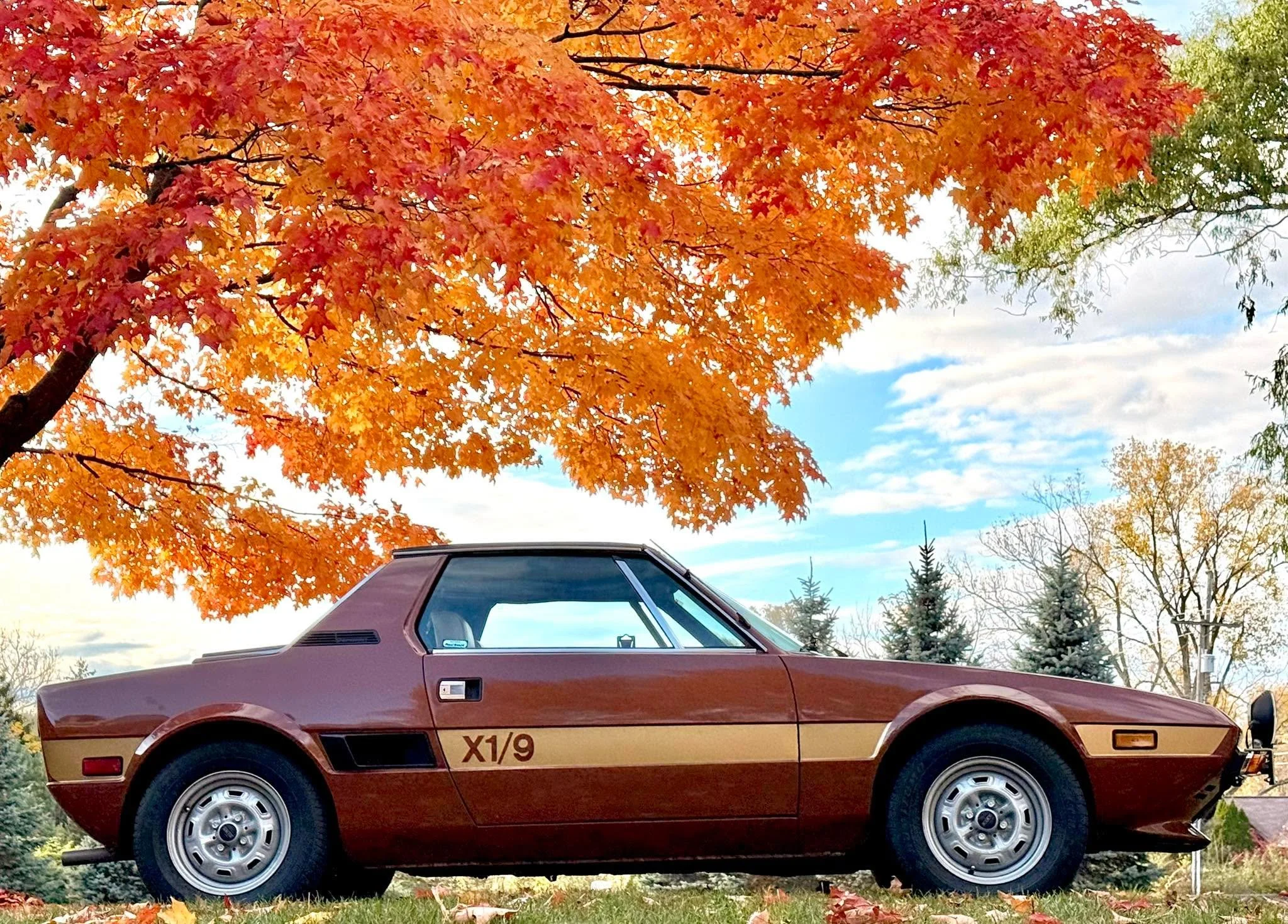 A great Fall day ! Nice drive and a beautiful tree!