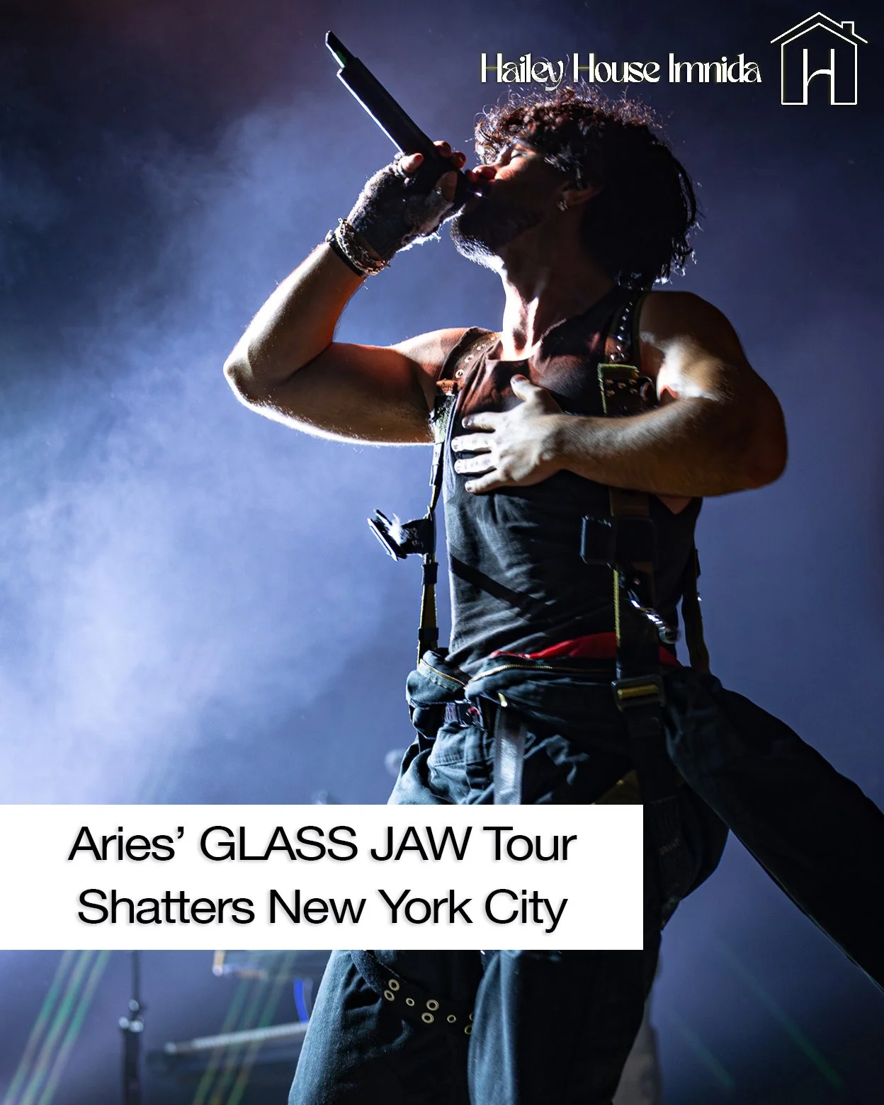 ARIES NYC CONCERT REVIEW