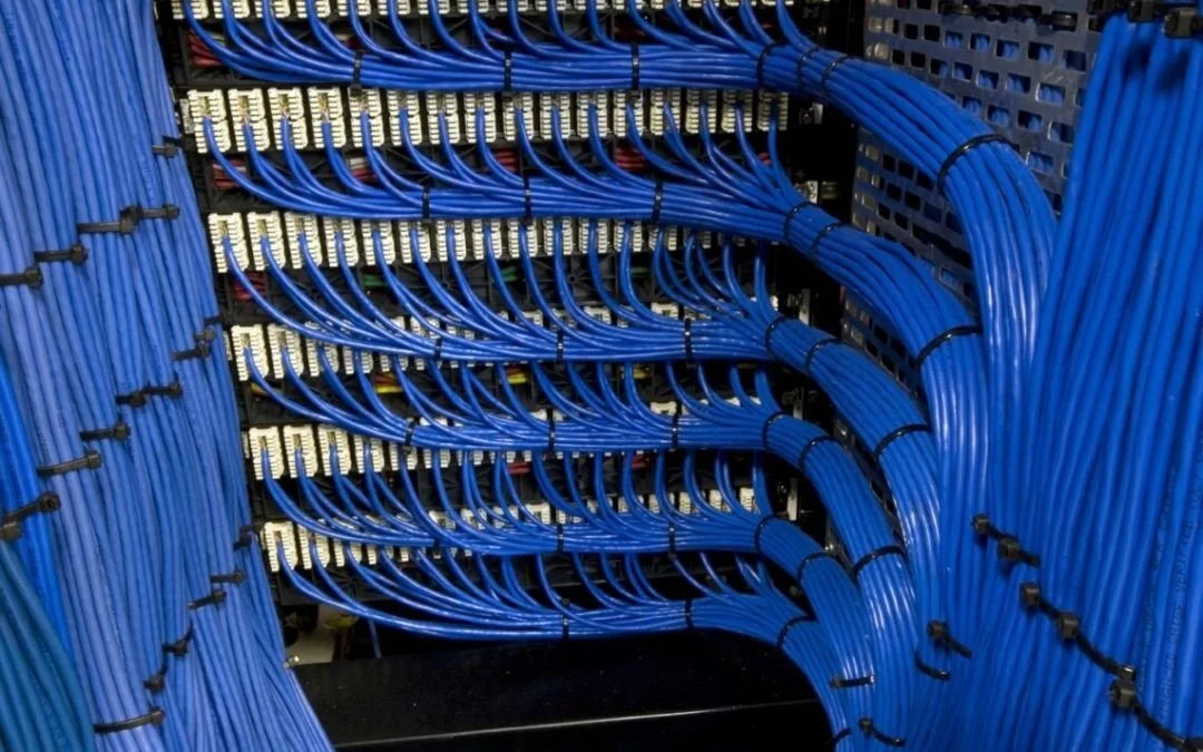 Multiple blue network cables organized on a wiring panel.