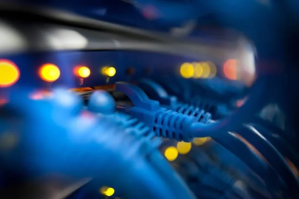 Close-up of network cables plugged into a server, with glowing indicator lights.