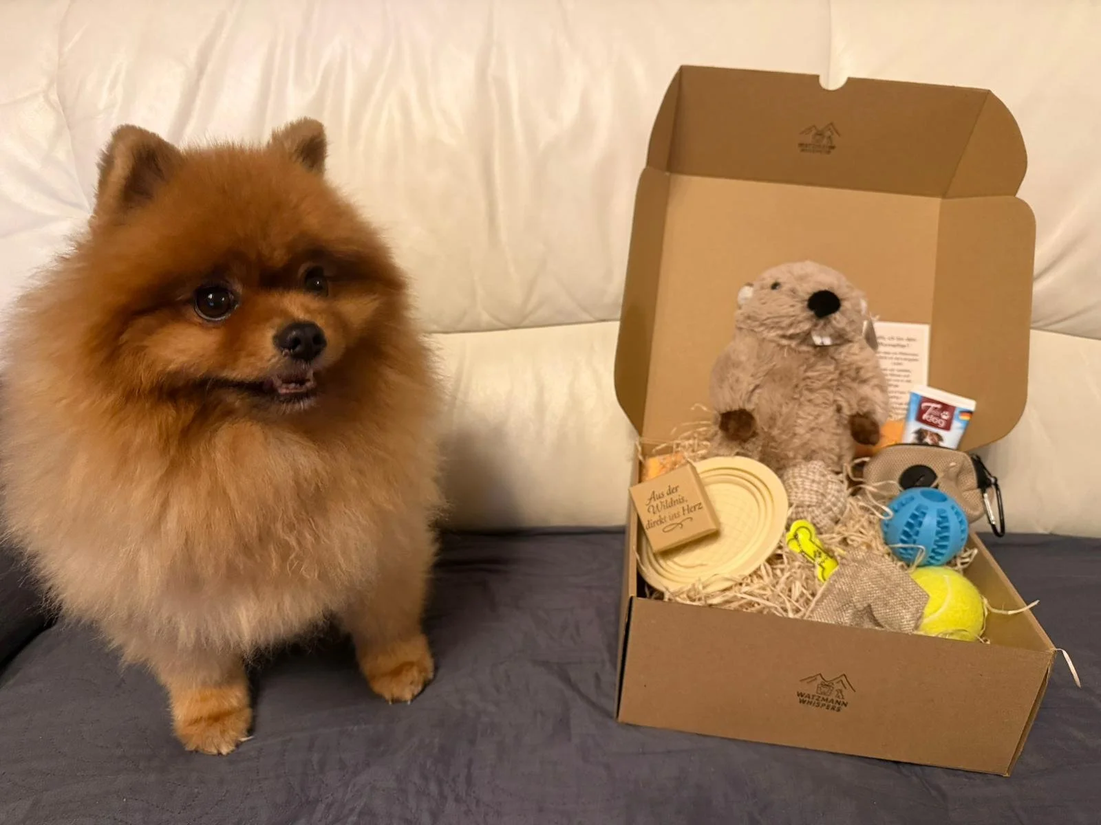 WhatsApp Image 2026-01-01 at 21.07.56.jpeg