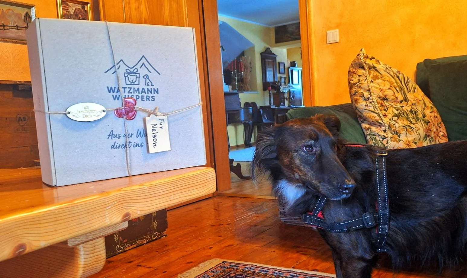 WhatsApp Image 2026-01-08 at 19.49.26.jpeg